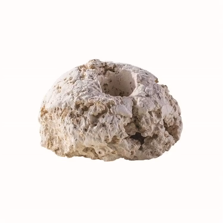 ARKA Biotechnologie Fragstone Round