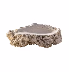 ARKA Biotechnologie Shell Holder