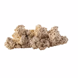 ARKA Biotechnologie Reef Plate