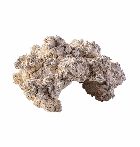 ARKA Biotechnologie Cave
