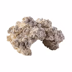 ARKA Biotechnologie Cave