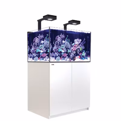 Red Sea Reefer XL 300 med belysing 2 st Hydra 32 HD