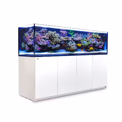 Red Sea Reefer 3XL 900