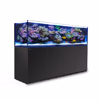 Red Sea Reefer 3XL 900