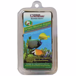 Green Marine Algae