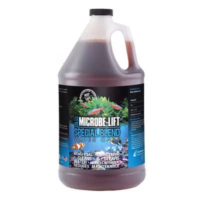 Special Blend