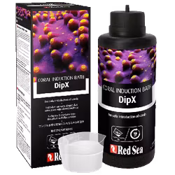 Red Sea DipX