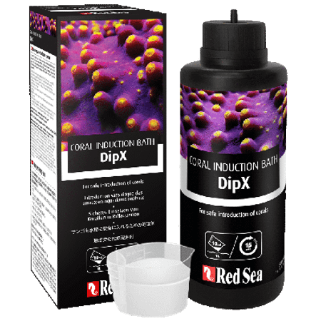 Red Sea DipX
