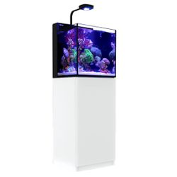 Red Sea MAX NANO