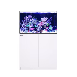 Red Sea REEFER G2+, senaste versionen med ATO+, automatisk vattenpåfyllning.