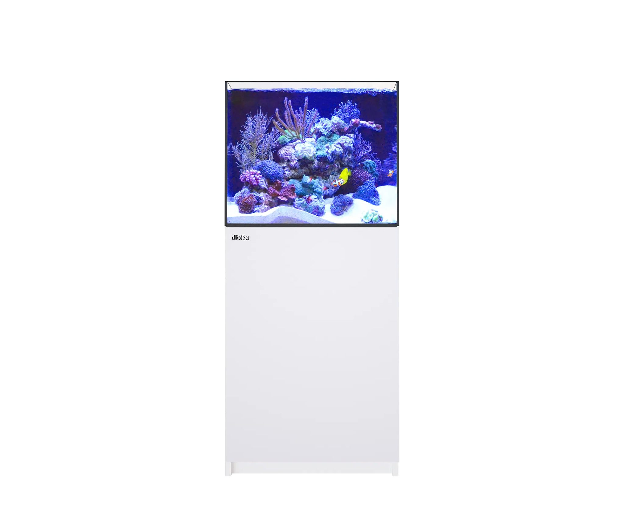 Red Sea REEFER G2+, senaste versionen med ATO+, automatisk vattenpåfyllning.