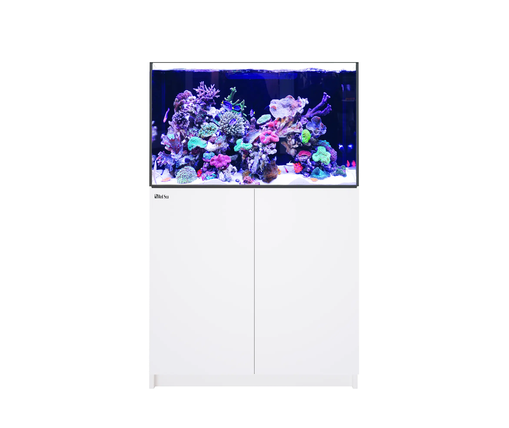 Red Sea REEFER G2+, senaste versionen med ATO+, automatisk vattenpåfyllning.