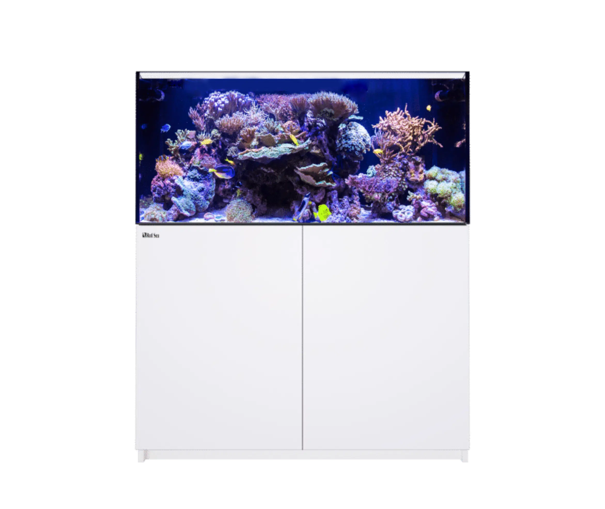 Red Sea REEFER G2+, senaste versionen med ATO+, automatisk vattenpåfyllning.