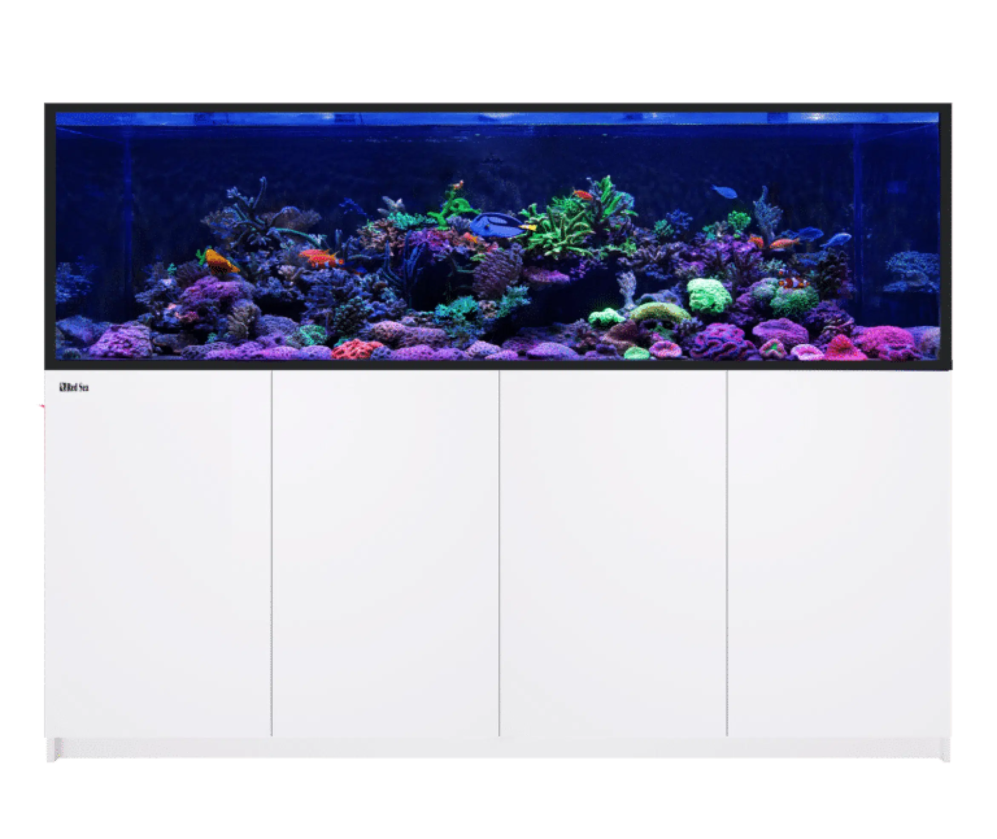 Red Sea REEFER G2+, senaste versionen med ATO+, automatisk vattenpåfyllning.