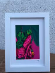 Bahar Frame