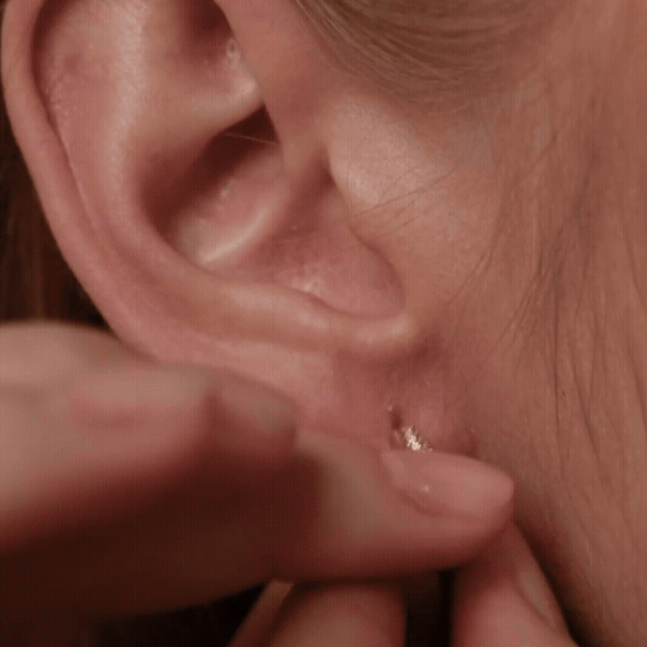 All Set Hoops øreringe