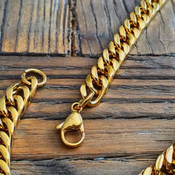 Gyllene Glans Pansarkedja ✨