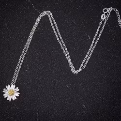 Silverpläterat Halsband