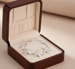 Stjärnfall vid Havet