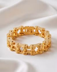 Guldglänsande Cykelkedja