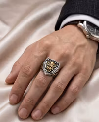 Lejonhjärta Sköldring