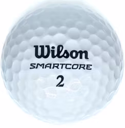 Wilson Smartcore