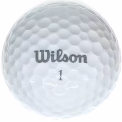 Wilson Lady