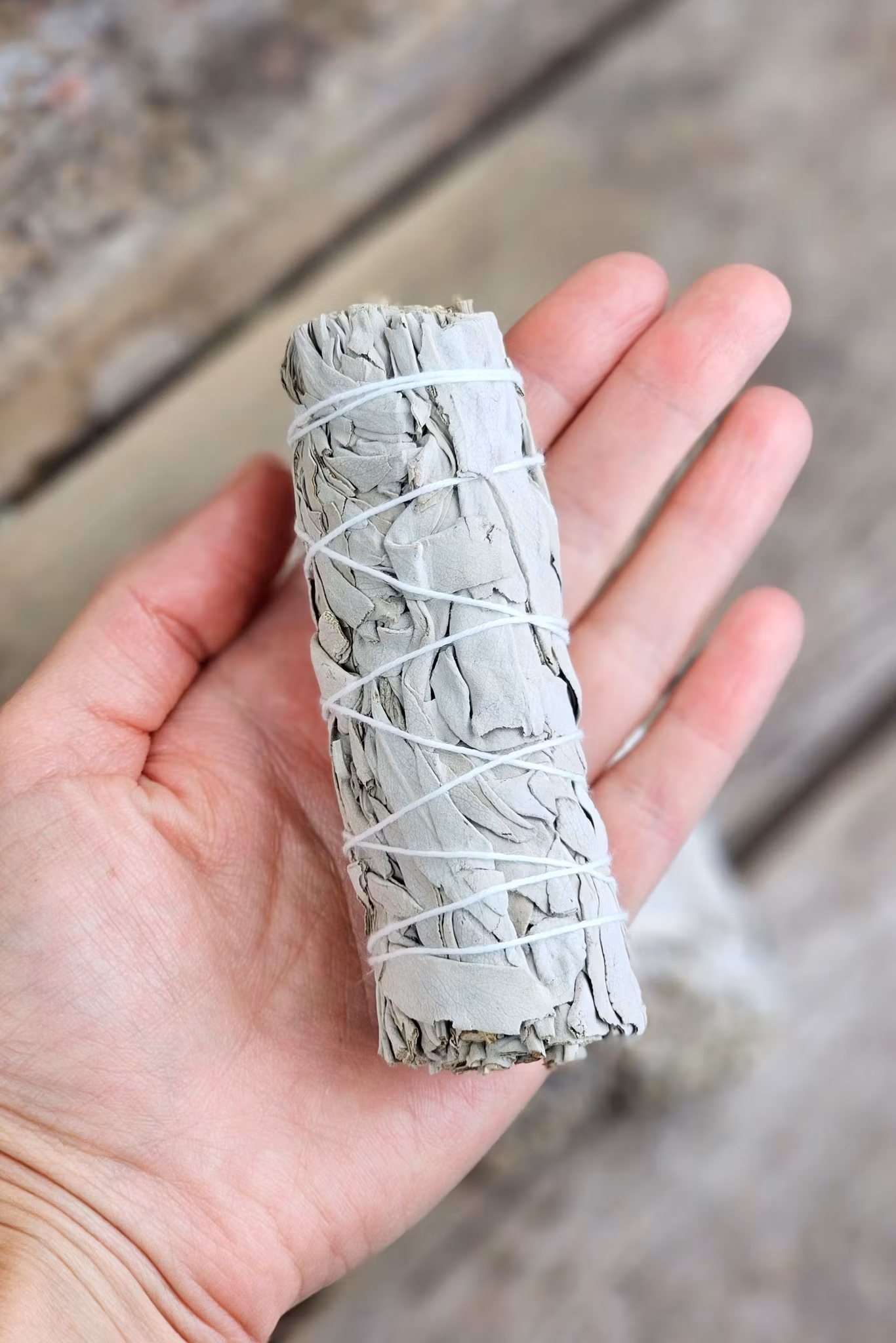 Vit Salvia