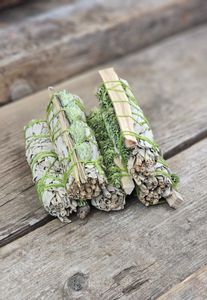 Vit Salvia med Mastix & Kanariegräs