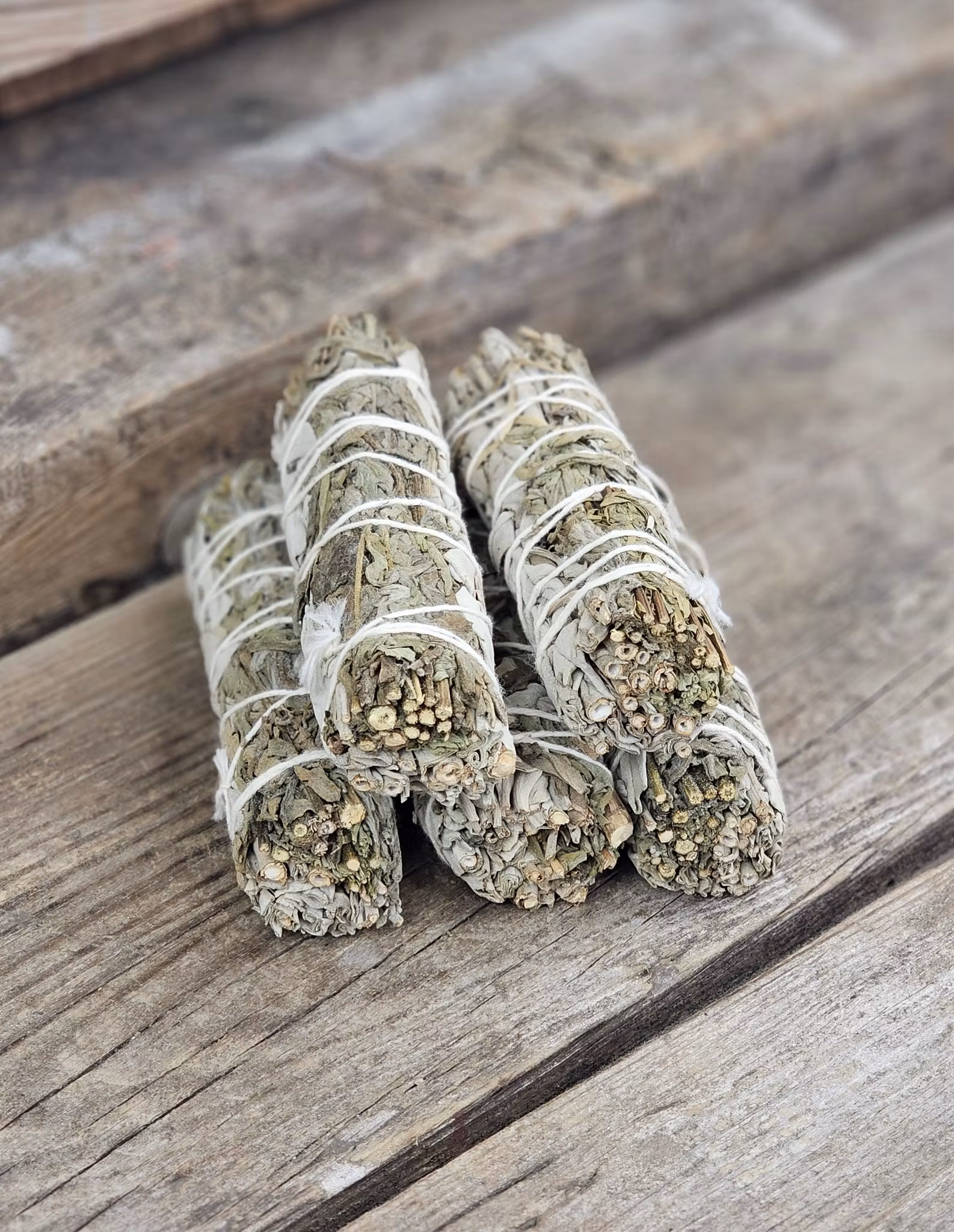 Vit Salvia i kombination med Mugwort