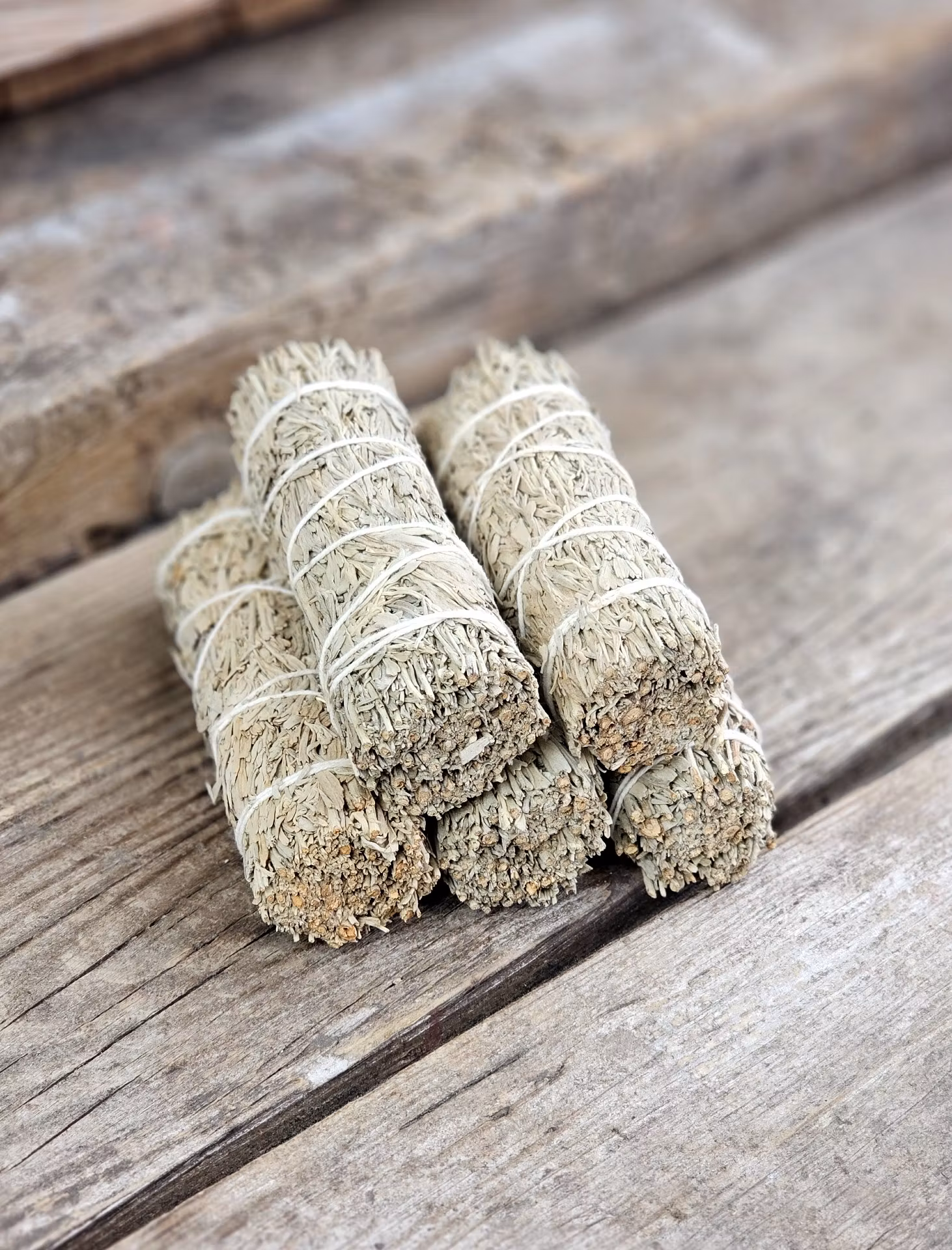 Blå Salvia (Shasta Sage) i kombination med Copal