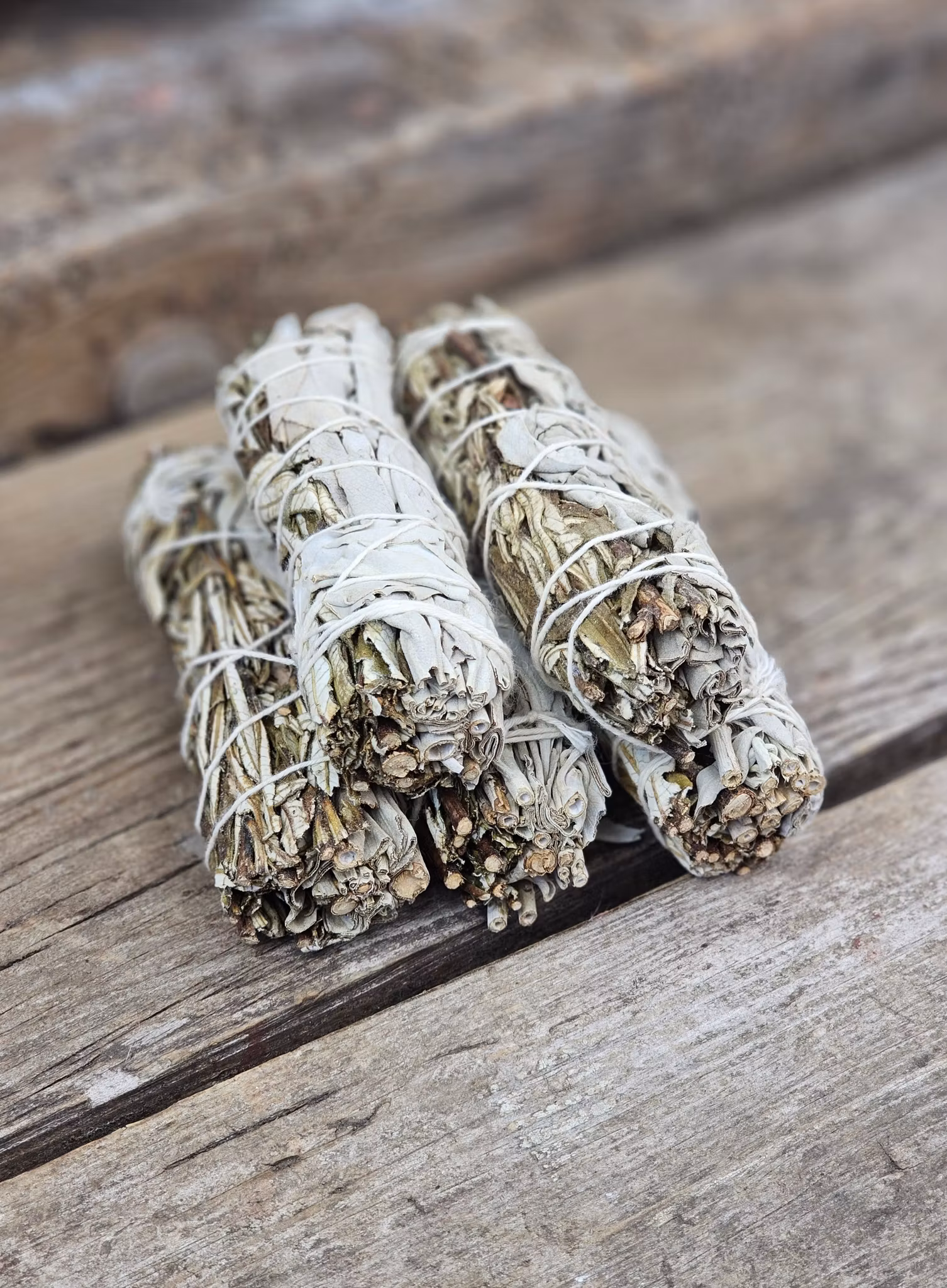 Vit Salvia i kombination med Yerba Santa