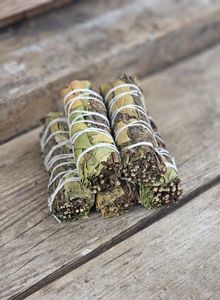 Citronmeliss & Pepparmynta, bunt
