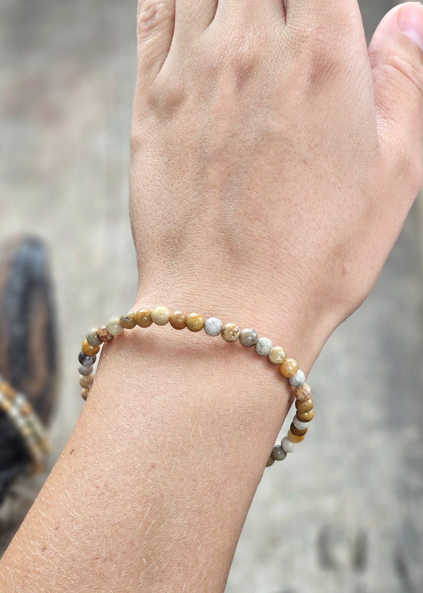 Korall Fossil, armband 4mm runda pärlor