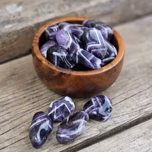 Chevronametist, stor trumlad