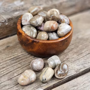 Förstenat trä, trumlad