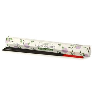 Stamford Premium Plant Based Hex - Lush Lavender, rökelsepinnar