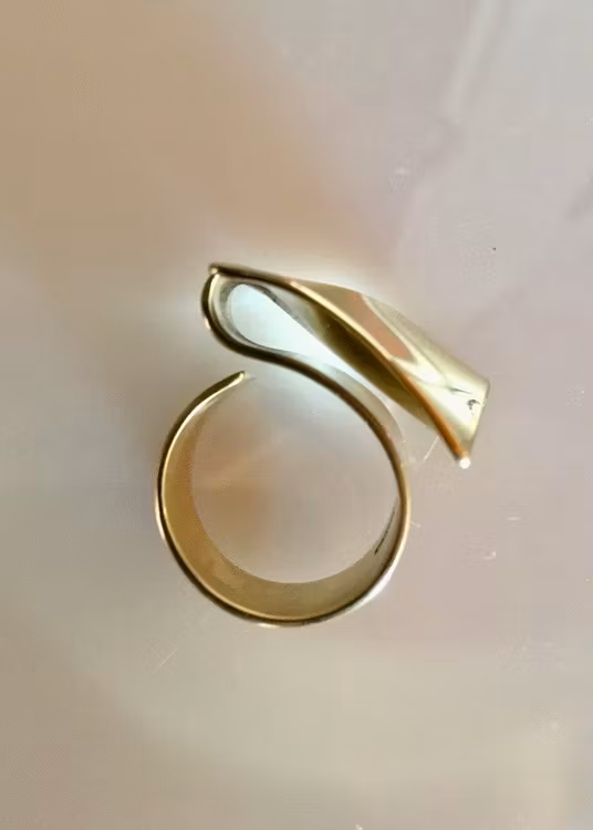 Ring Wave shine