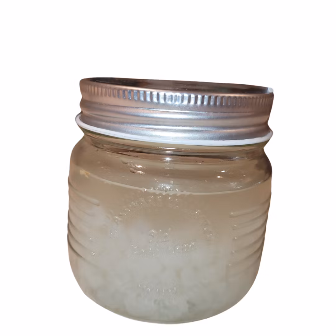 Vannkefir startpakke
