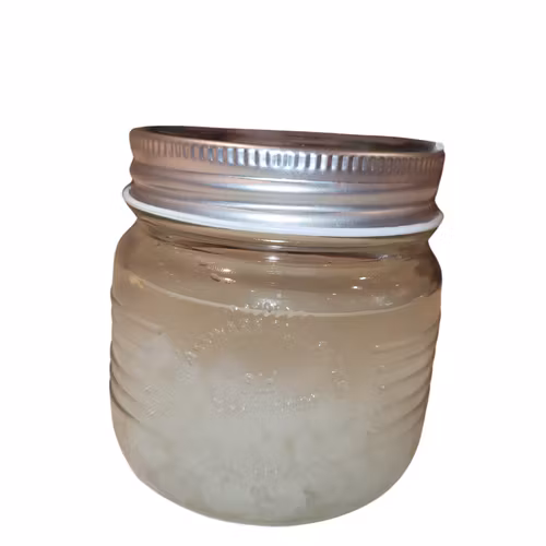 Vannkefir startpakke