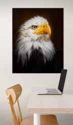 Ørn