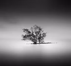 Ensomt tre
