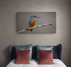 King Fisher
