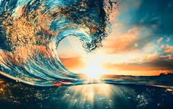Wave in sunset