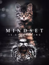 Cat Reflection