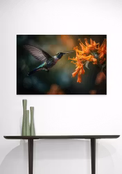 Hummingbird