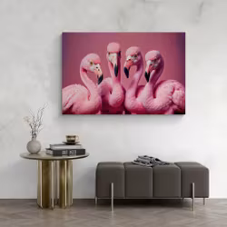 Flamingo Family