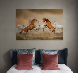 Stallions