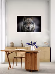 Grey Wolf