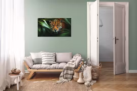 The Jaguar
